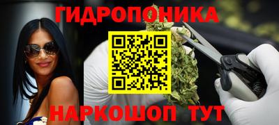 гашик Волжский