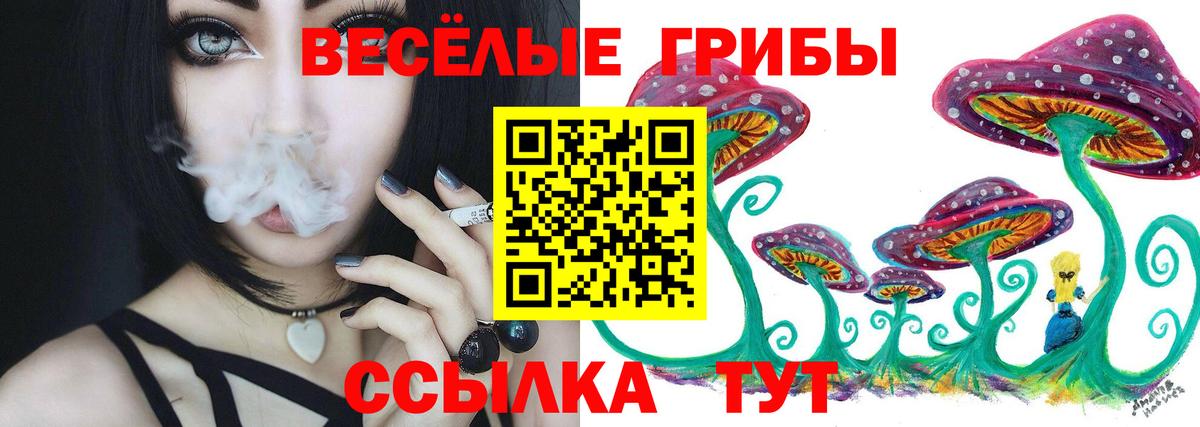 Псилоцибиновые грибы Cubensis  Вход с VPN  Мурманск 